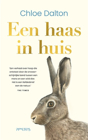 Boek Een haas in huis