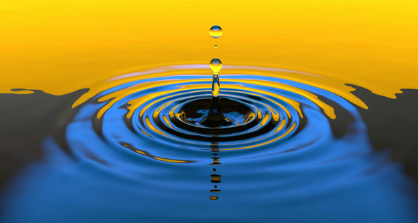 Module water training Alchemy van Bodywork LifeProjects